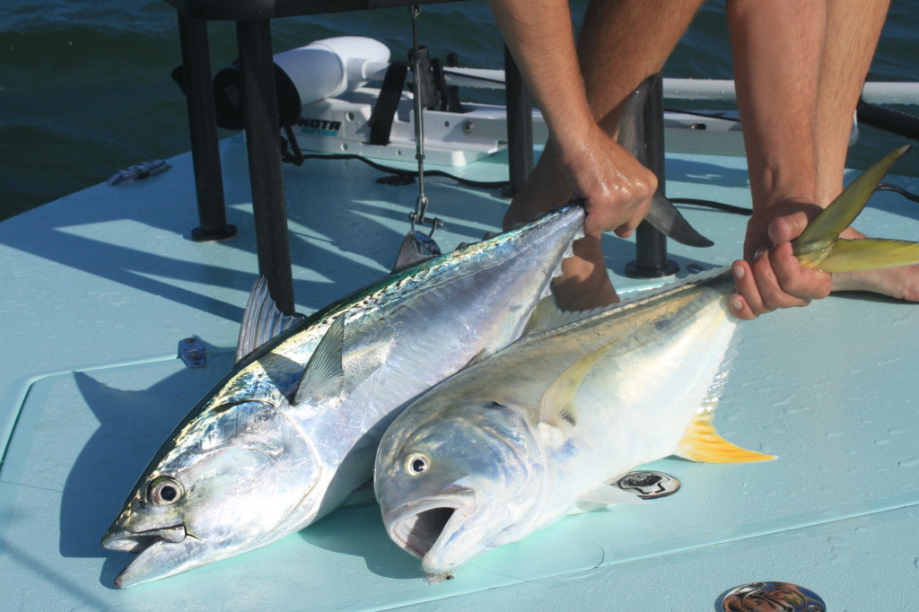 Tampa Fly Fishing Charter