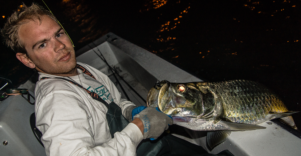 tarpon tampa bay clearwater st.pete fishing charter guide