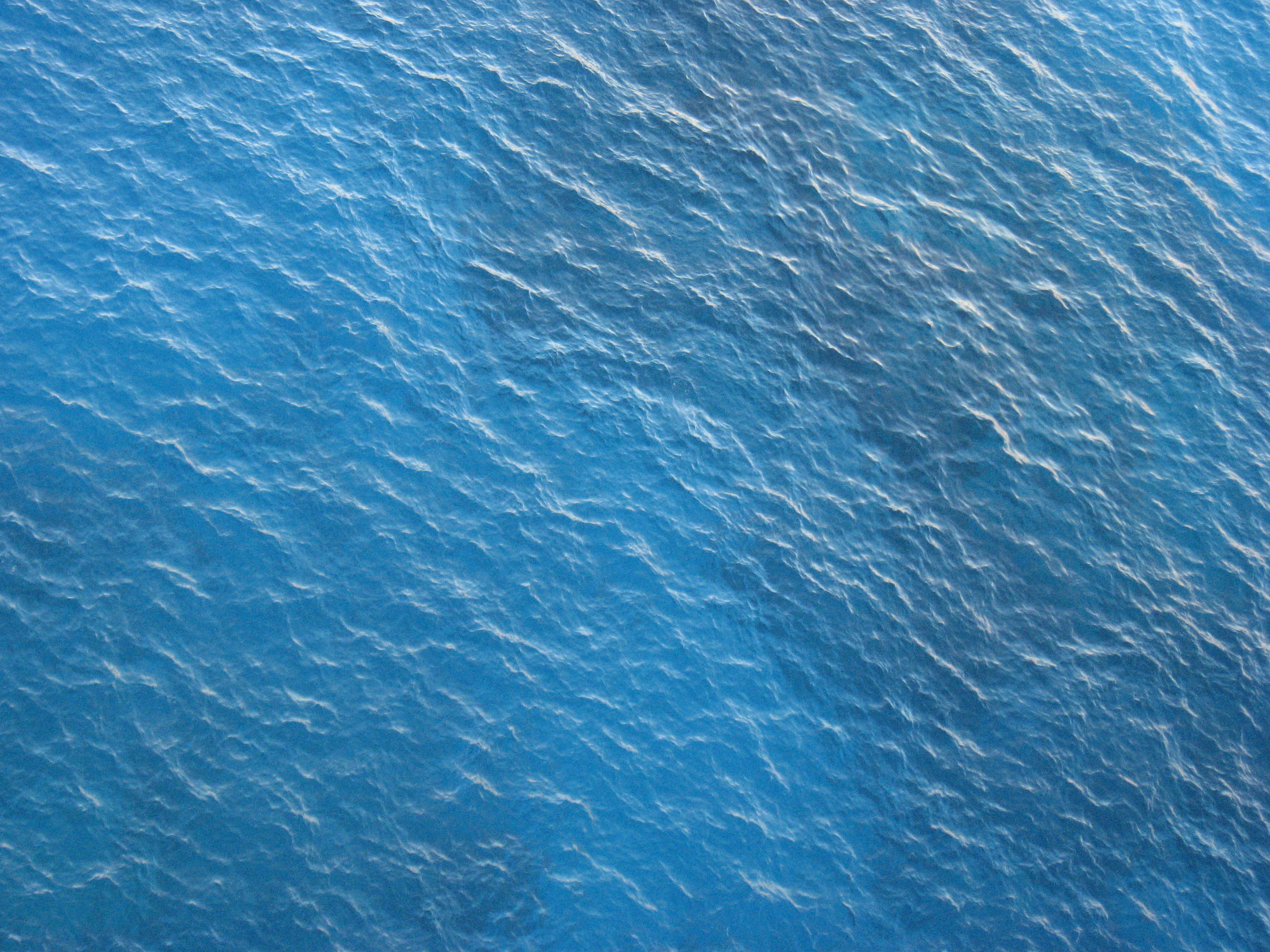 tampa bay clearwater st.pete fishing charter guide