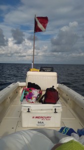 scallop trips charter homosassa