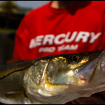 fishing tampa charter