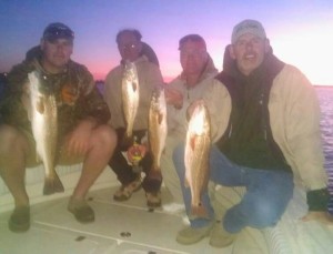 Tampa Fishing charter