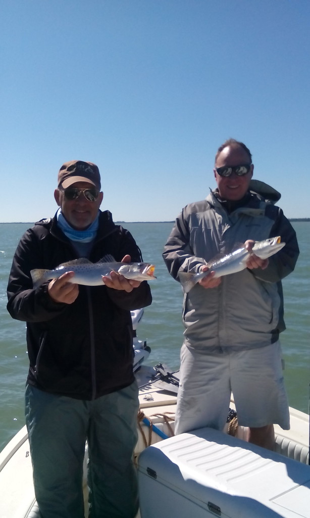 Tampa Fishing Charters