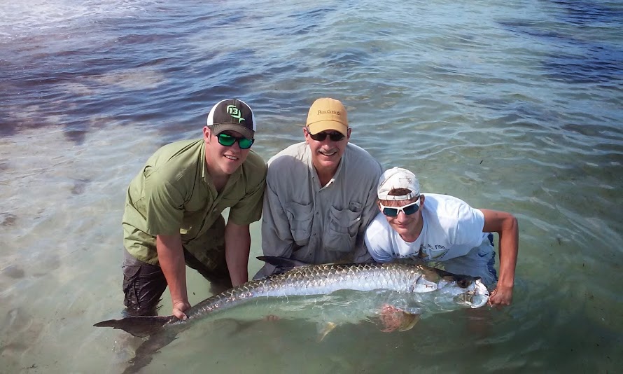 tarpon fishing charters tampa