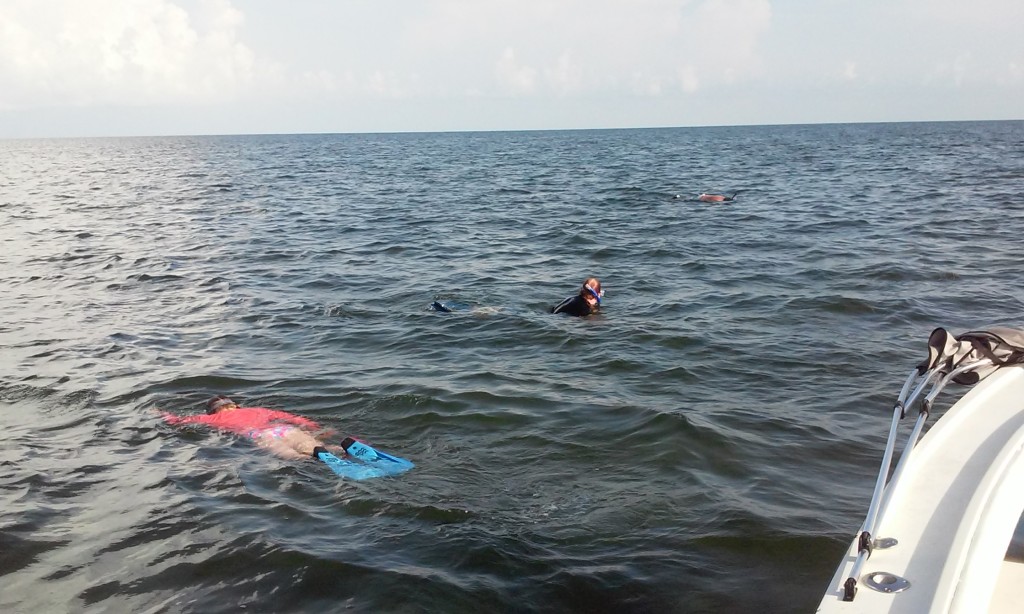 scalloping charter trips