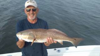 clearwater fishing charters