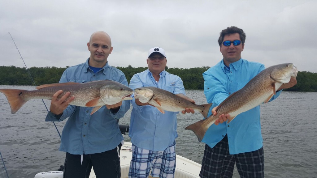 tampa bay fishing charters