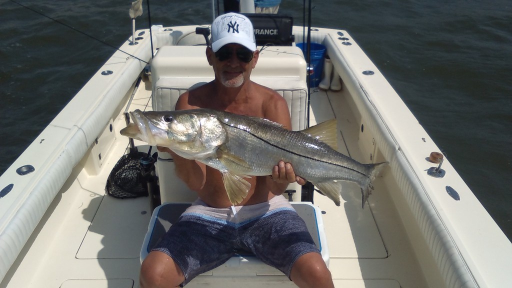 clearwater beach fishing charters