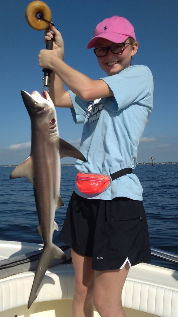 Clearwater shark fishing 