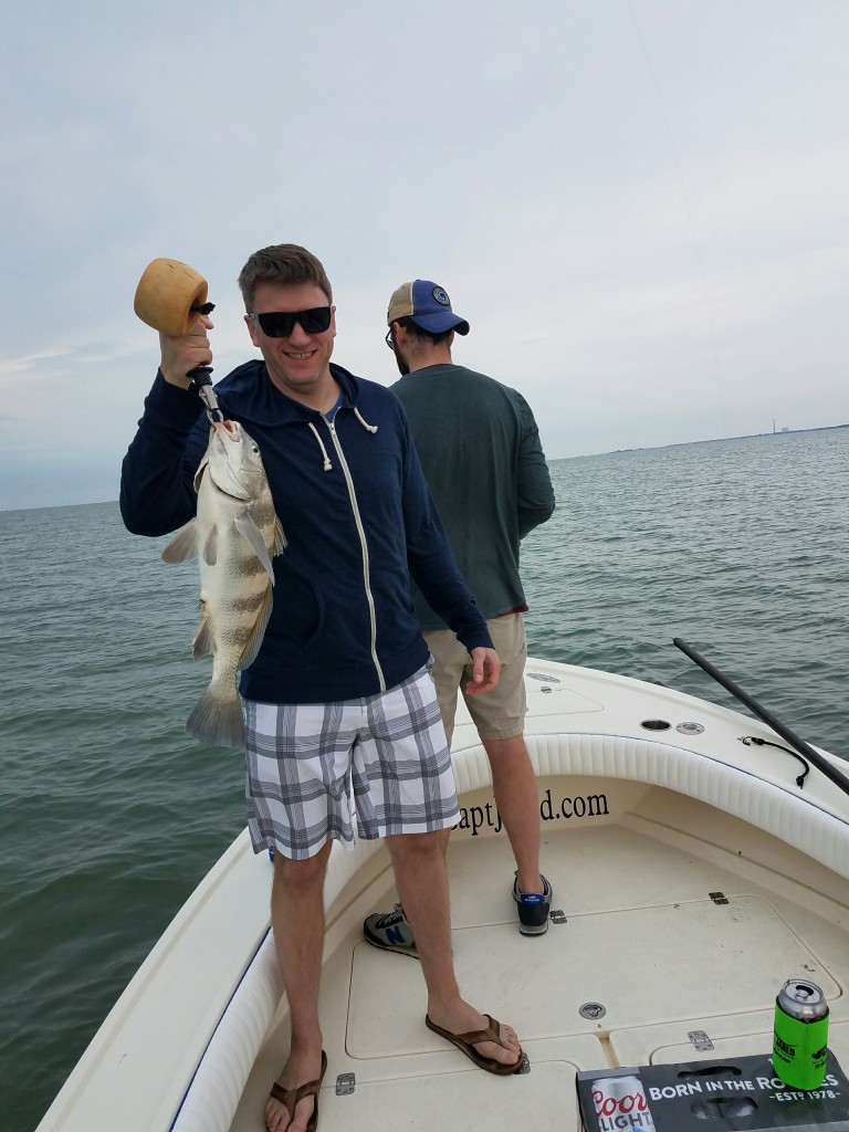 Clearwater fishing charter guide drum