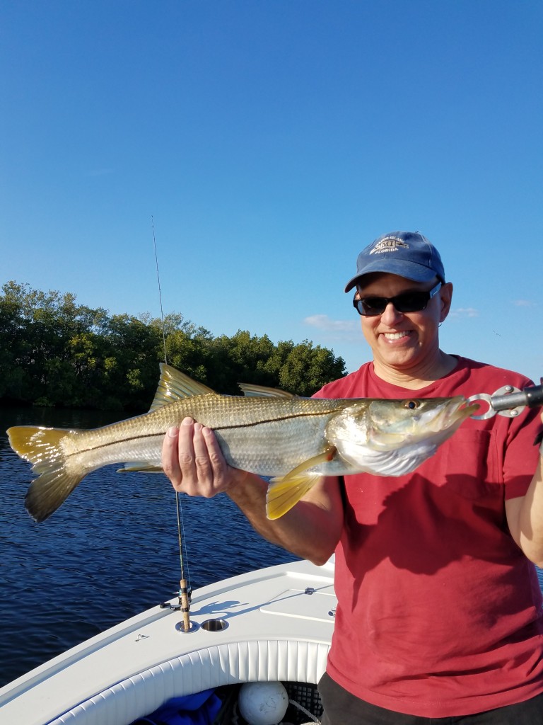 clearwater fishing charter snook