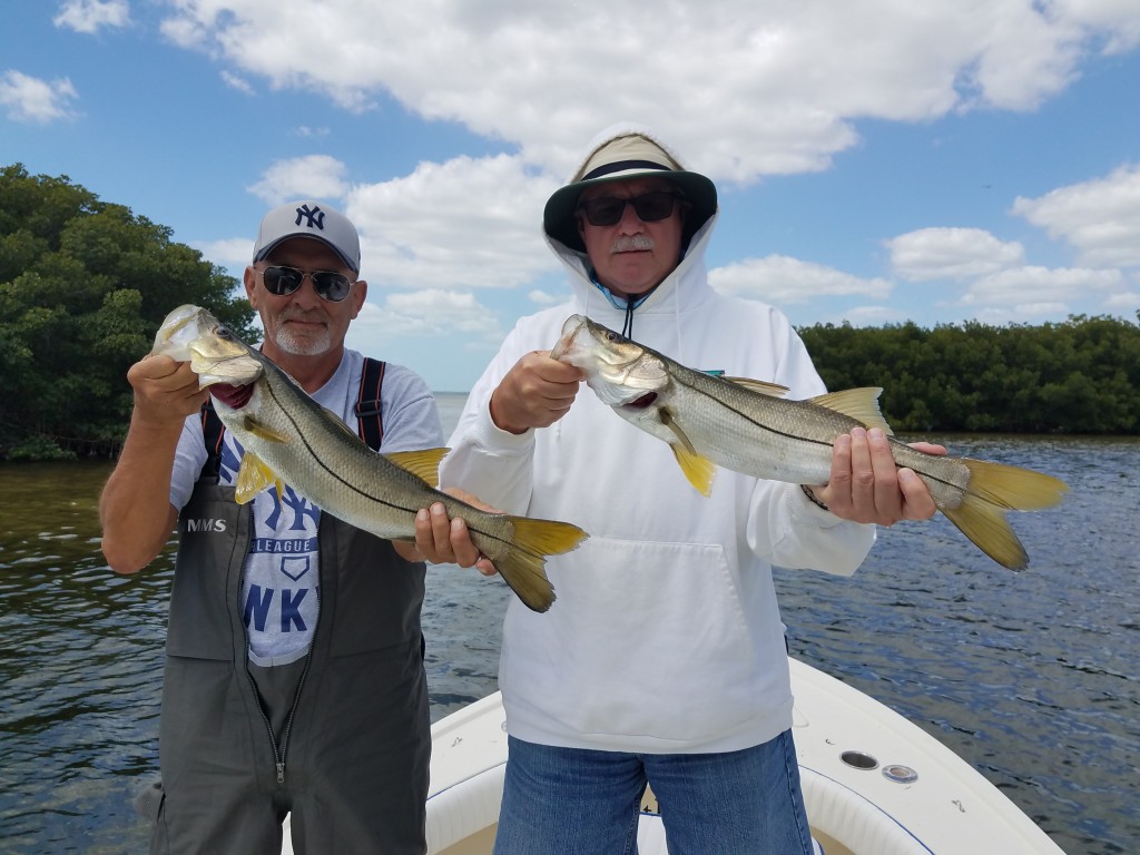 Tampa clearwater snook fishing guide charter