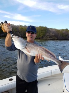 Big Redfish on afternoon fishing trip in Clearwater, Fl.