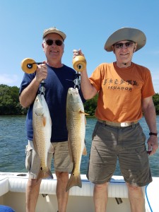 Redfish trip out of Safety Harbor, Fl fishing guide charter