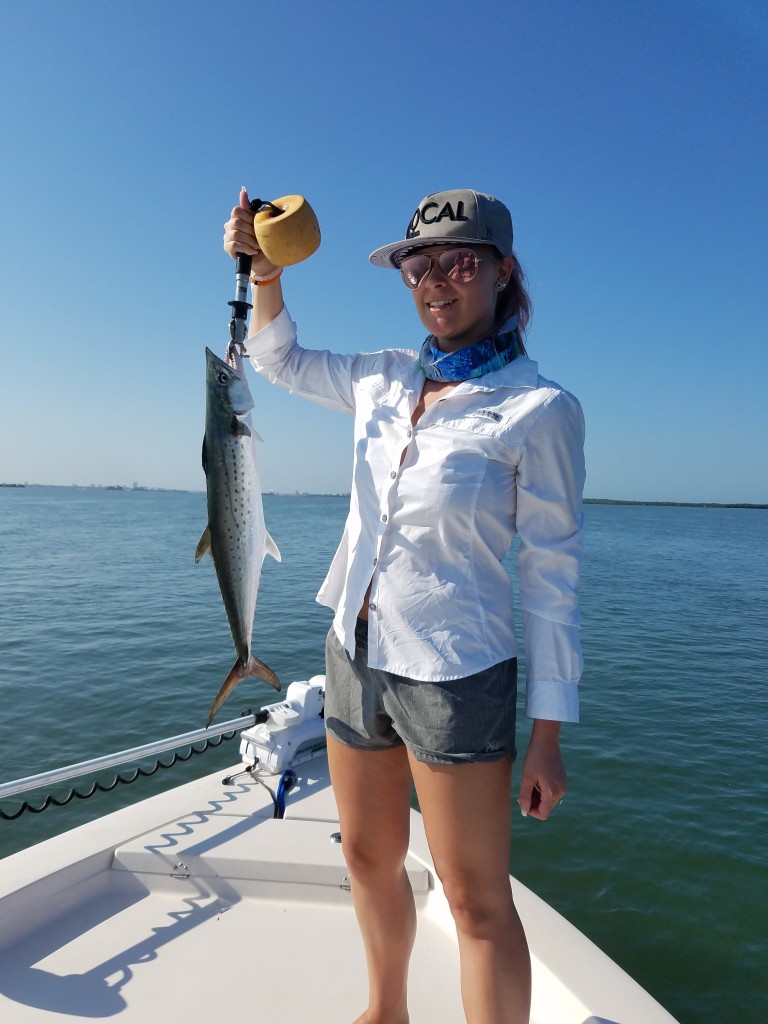 Spanish Mackerel fishing near clearwater beach florida with fishing charter