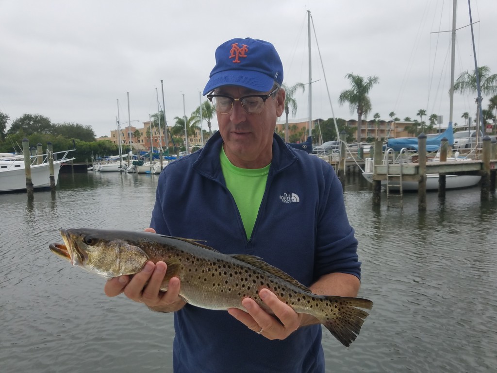 Big trout caught on a fishing charter trip out of Safety harbor marina