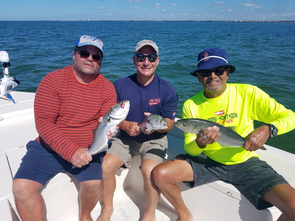 Inshore fishing trips and charters safety harbour florida