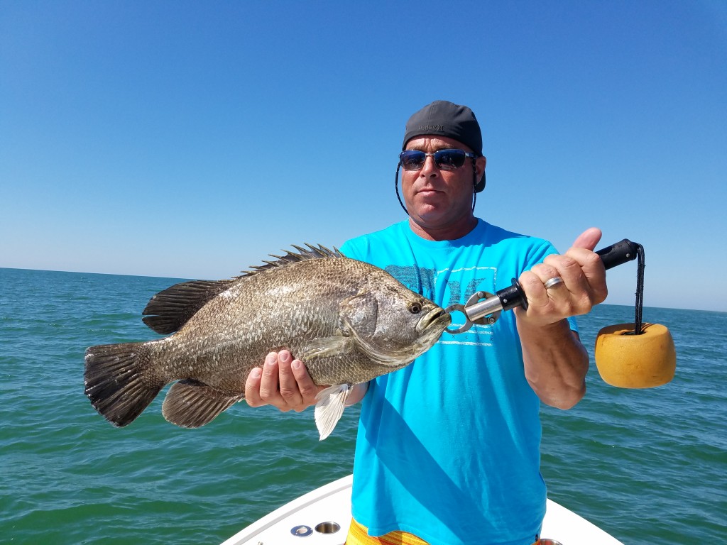 John big triple tail caught on a fishing trip with on clearwater beach