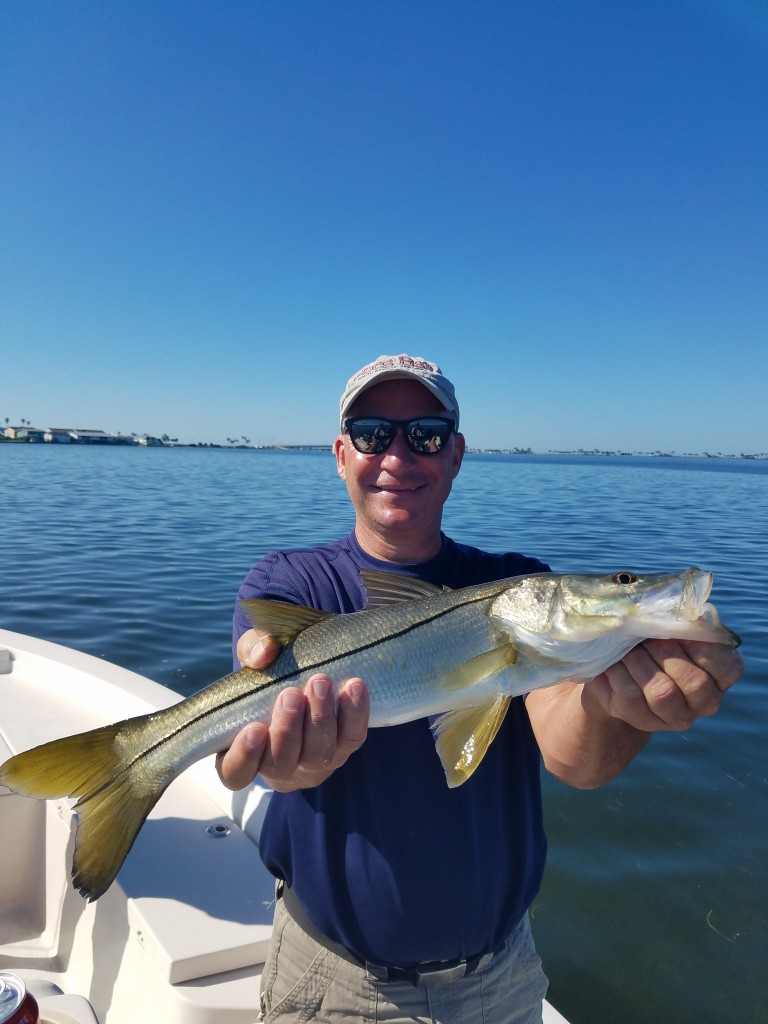 Kev snook on a snook caught near seminole boat ramp