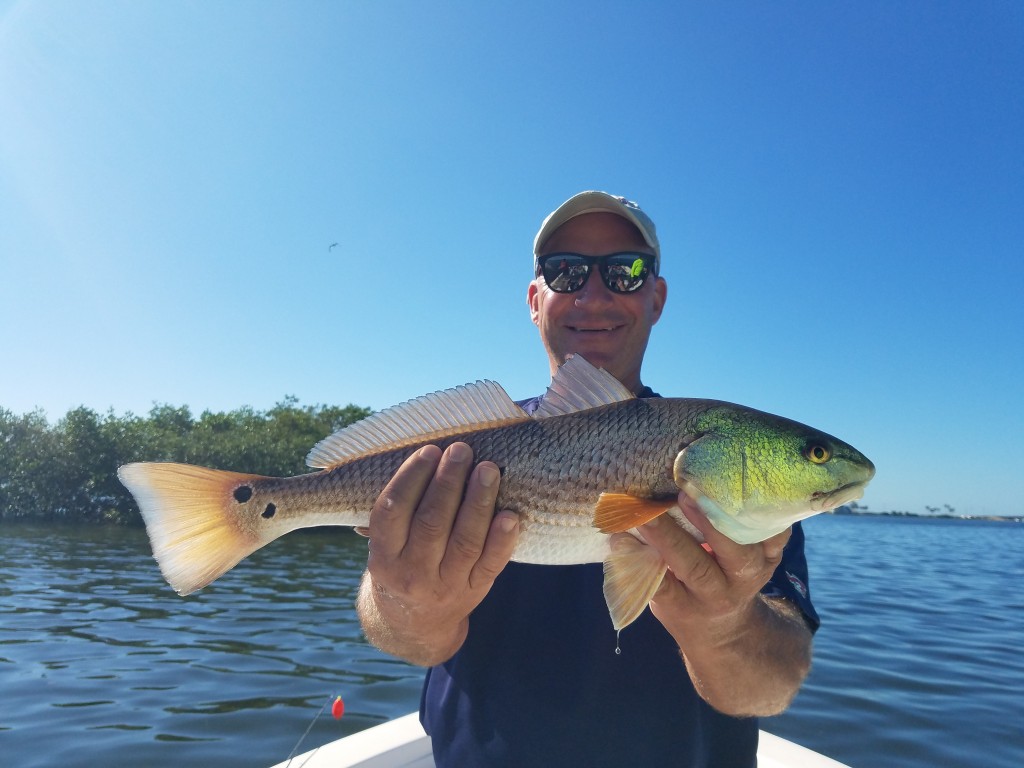 Kev with a Palm harbor Redfish on a fishing tour