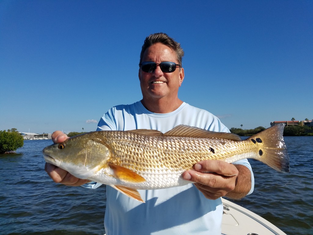 Palm harbor redfish guided fishing tours and trips