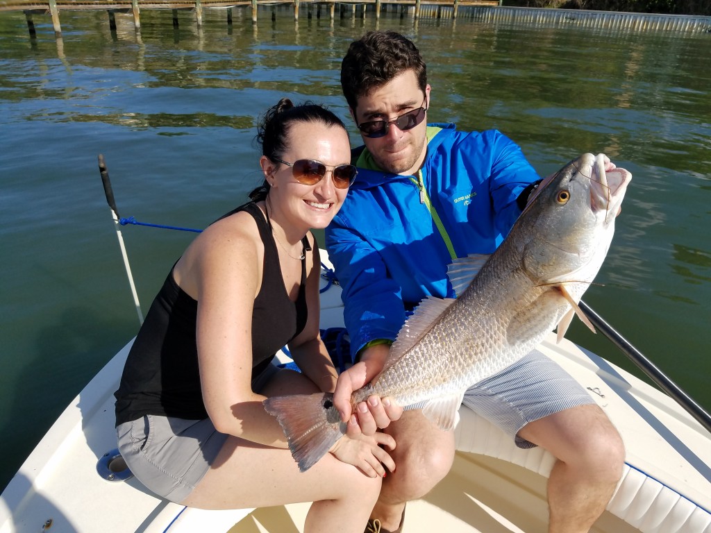 Big red drum caught while fishing near seminole boat ramp on clearwater fishing tour