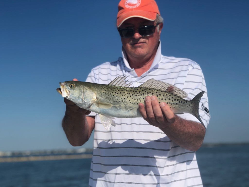 seatrout clearwater beach inshore fishing charter