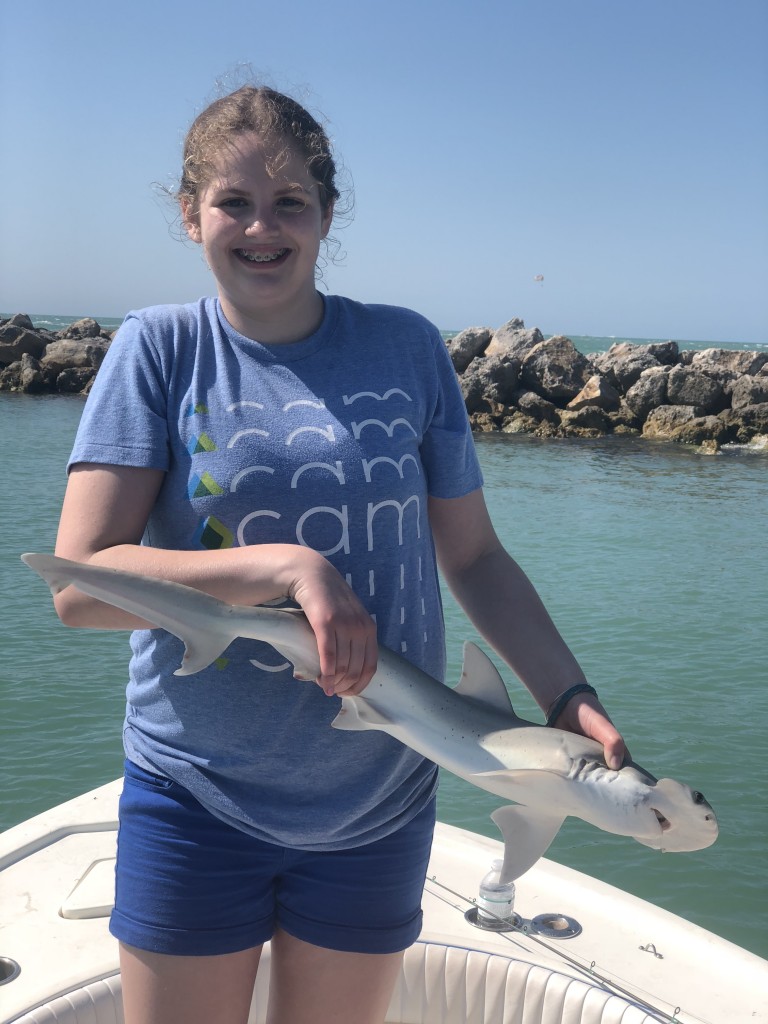 Clearwater beach shark fishing trip