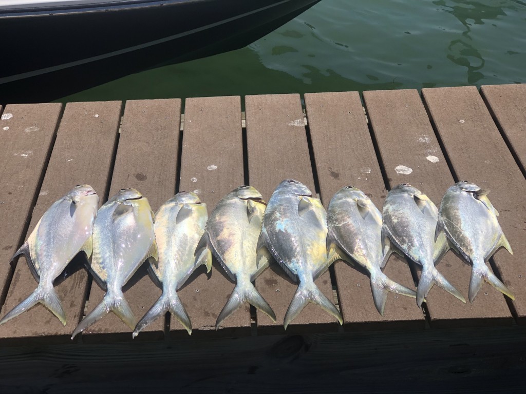 Pompano Clearwater pass fishing guide