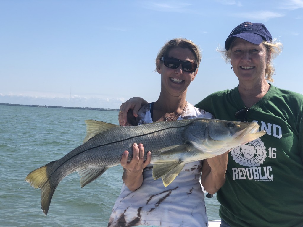 Snook fishing charters Tarpon Spring