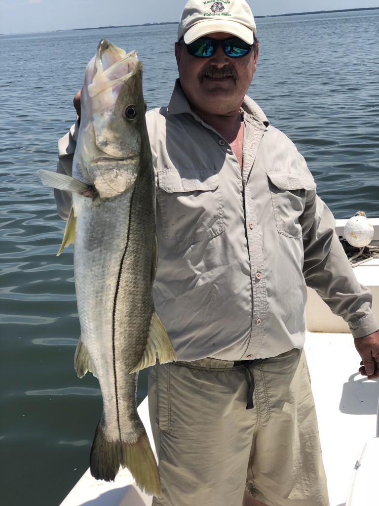 Snook Fishing guide tampa