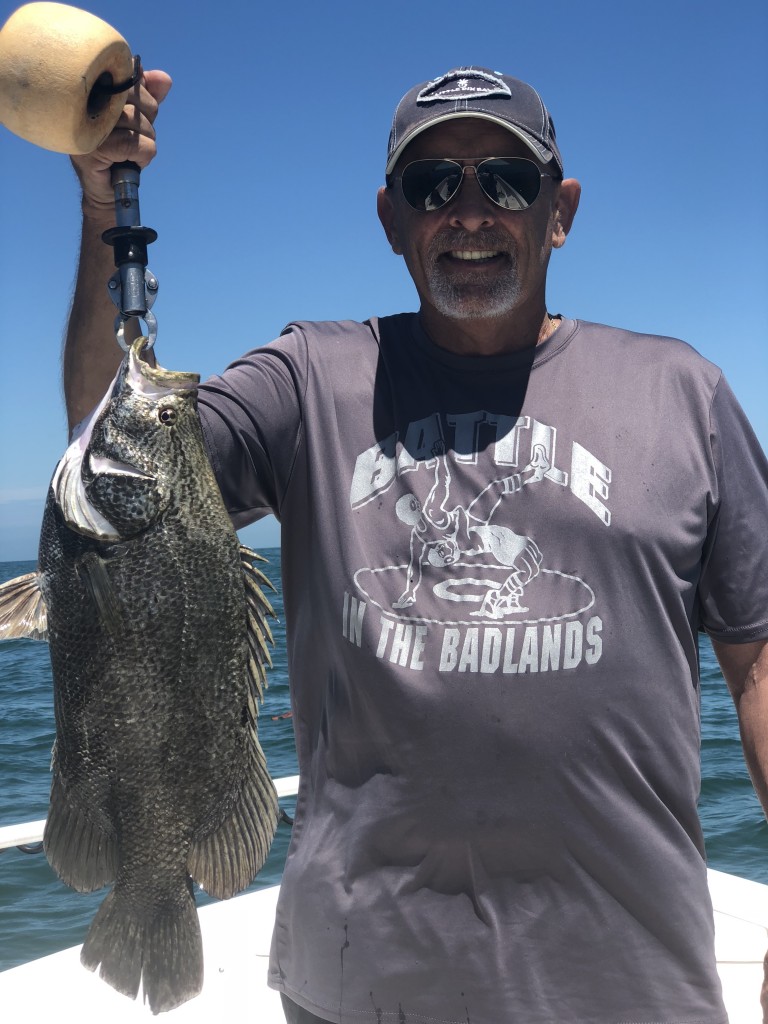 Triple tail caught off clearwater beach, fl