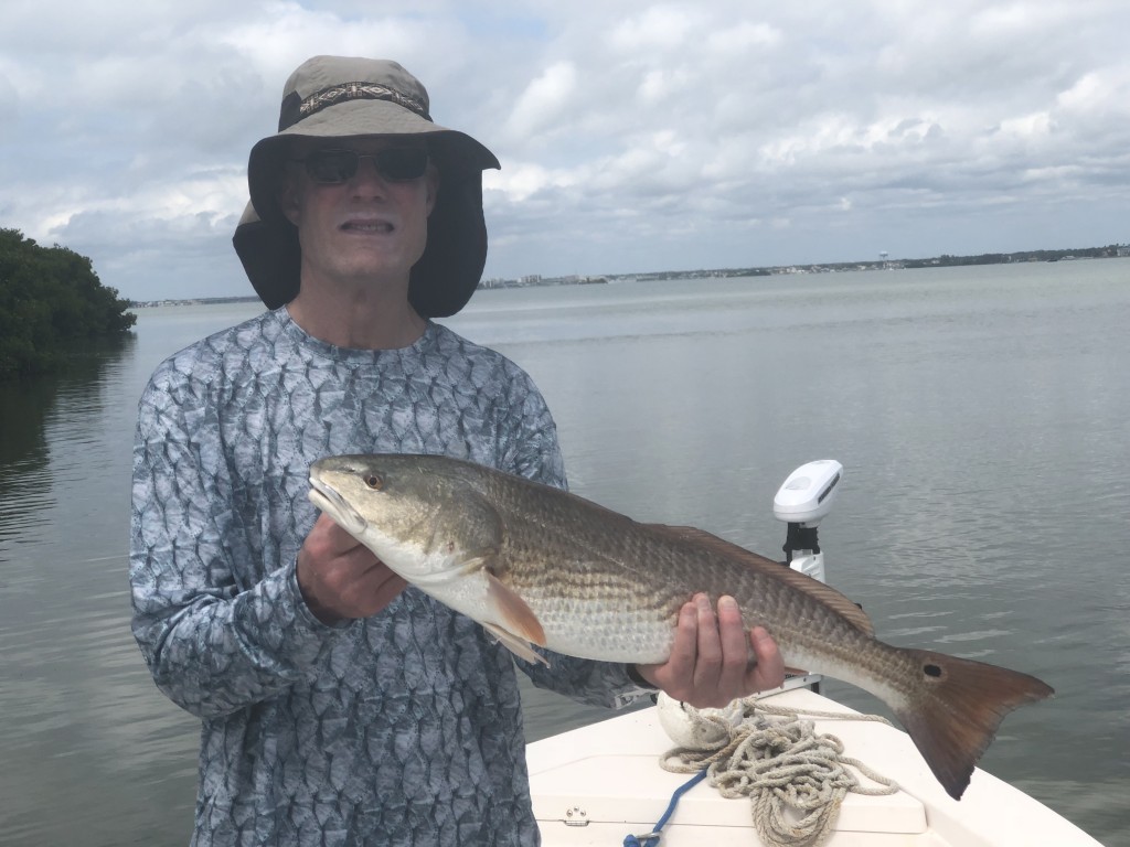 redfish guide and captains dunedin clearwater