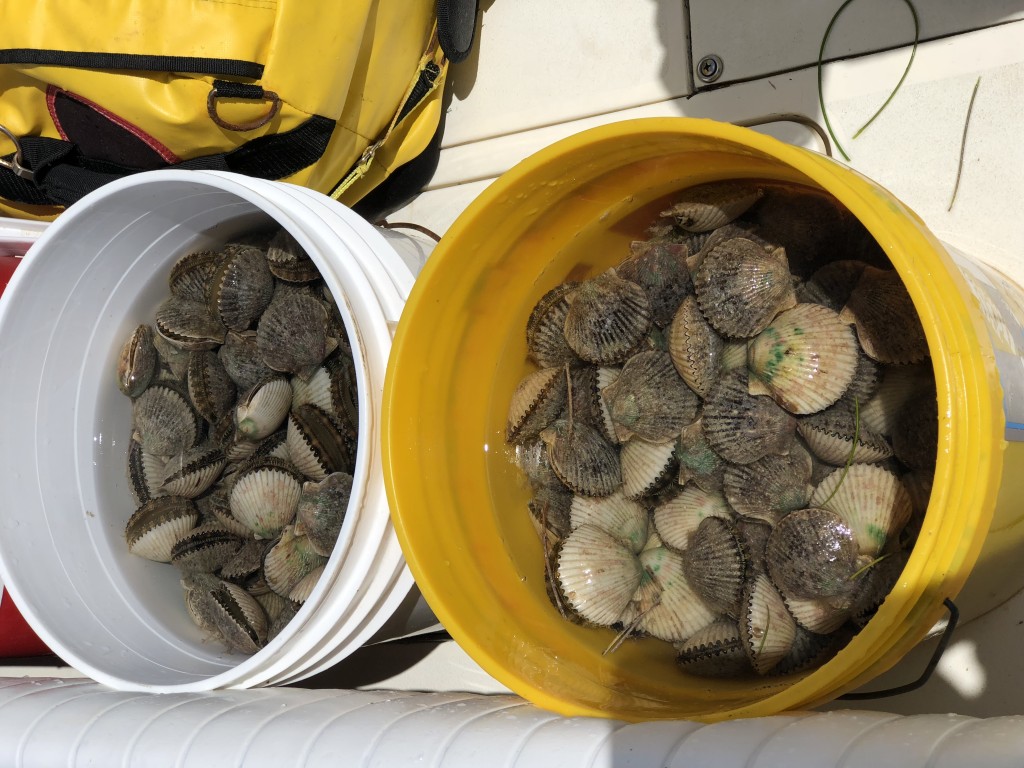 Homosassa Scallop Trip Guide Tours