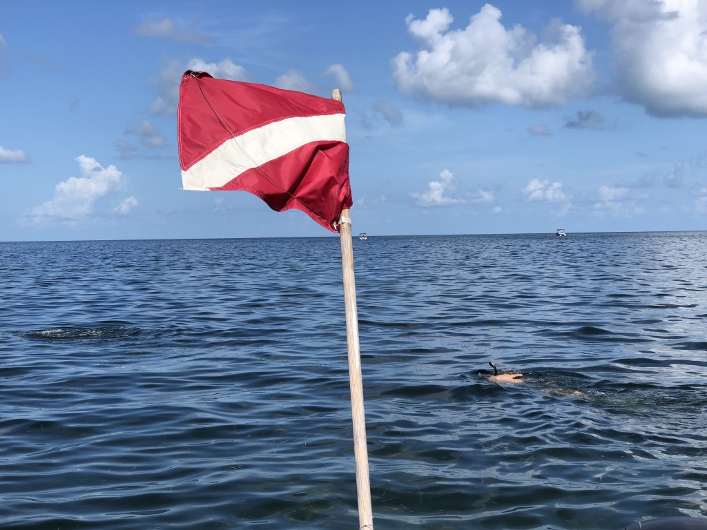 Homosassa Scalloping Charter 2018