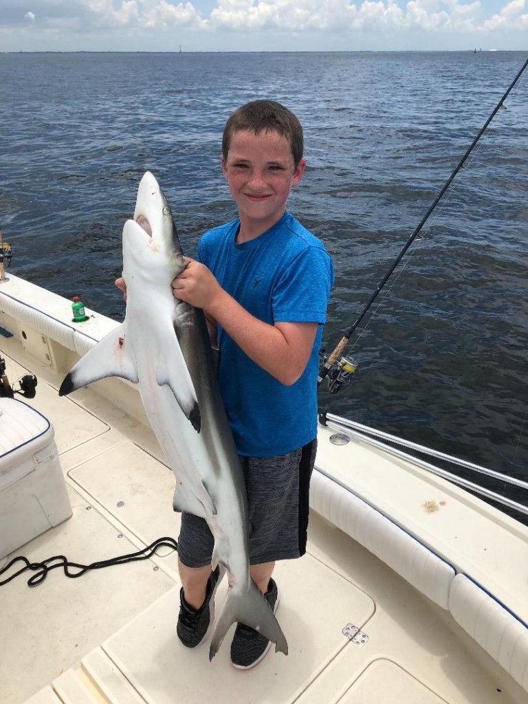 Shark Fishing Charters Clearwater