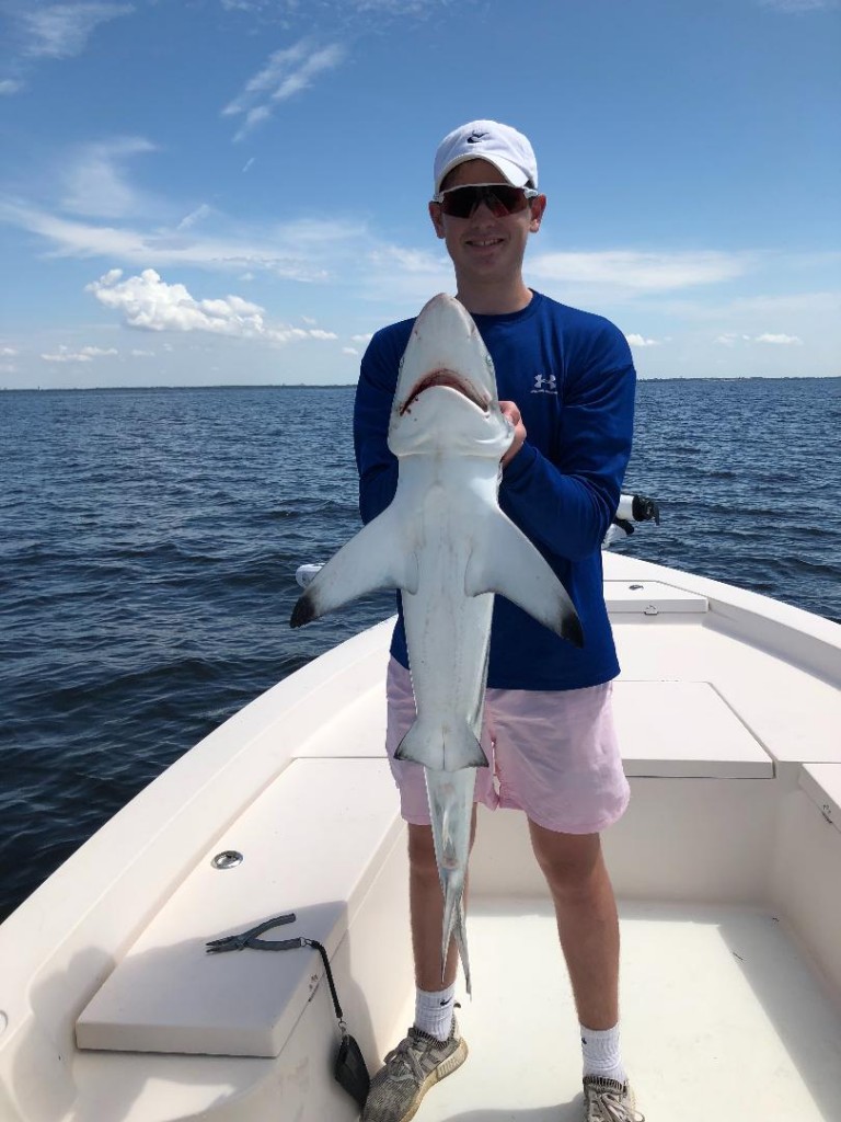 Sharks Fishing Trips Clearwater