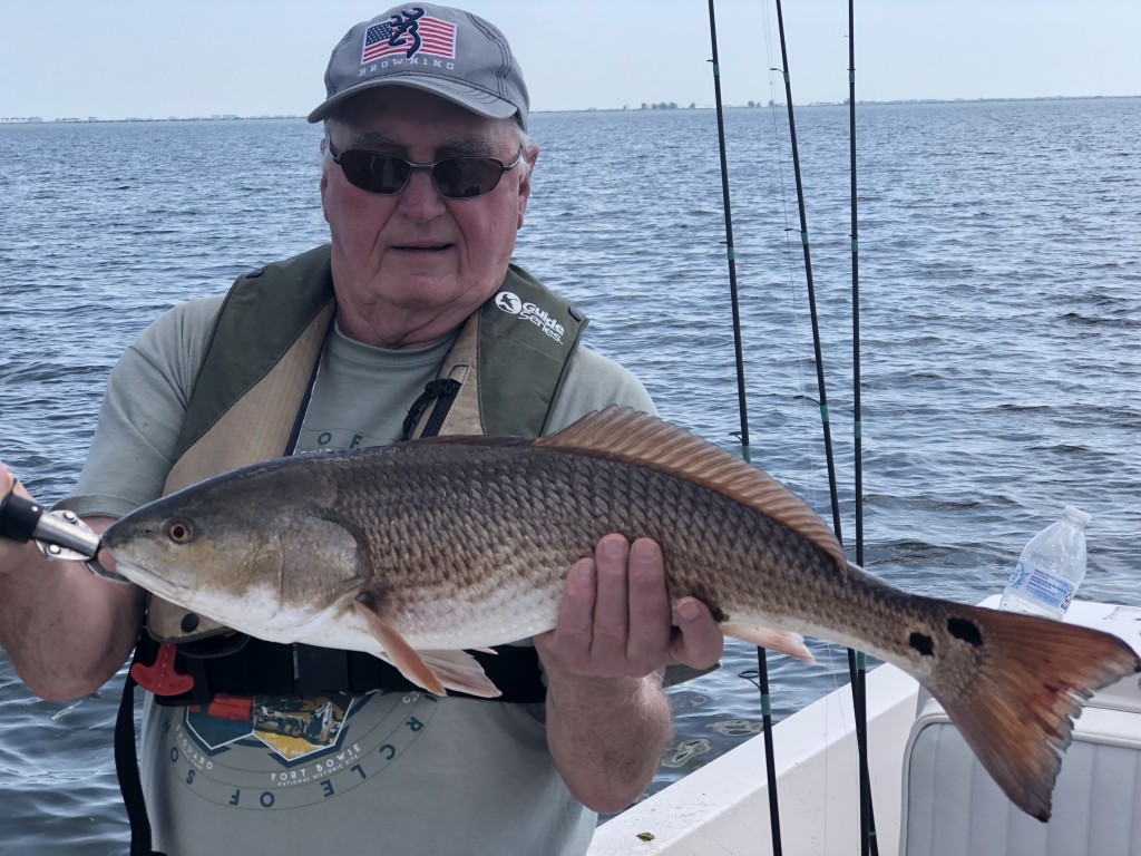 Tampa Fishing Charters Redfish trips