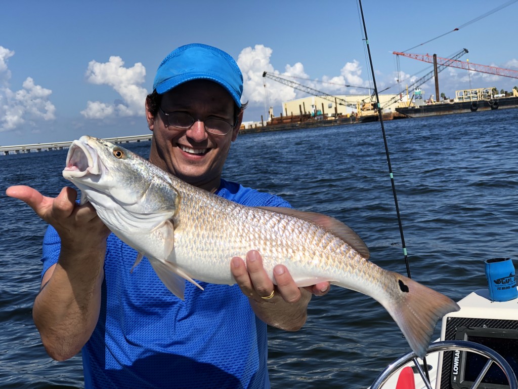 Redfish caught fishing trip safety harbor