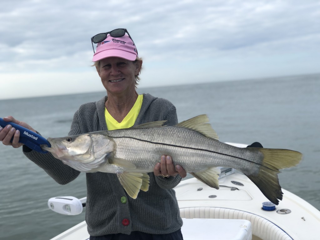 Snook Fishing Clearwater