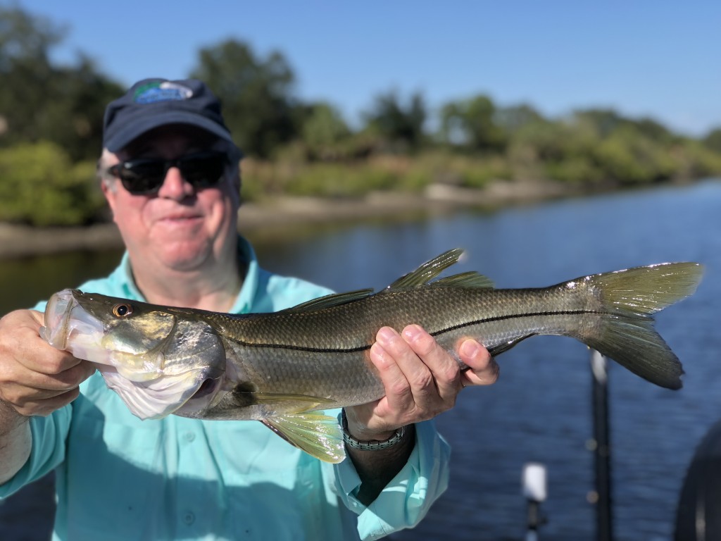 Snook fishing florida