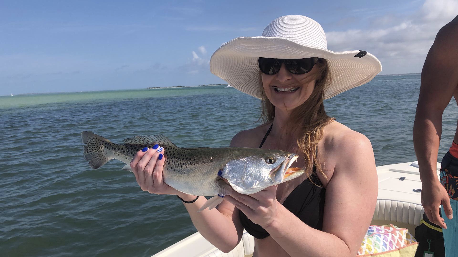 Fishing Reports for Tampa bay Clearwater & St.Pete Fishing