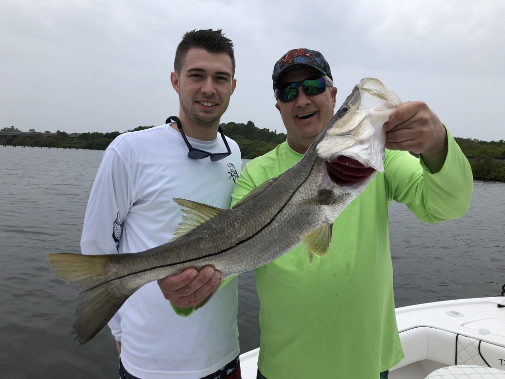 Snook fishing Dunedin - Copy