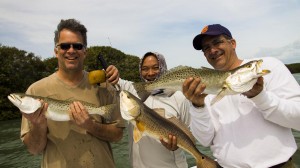 tampa clearwater fishing charter