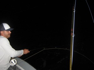 tarpon fly fishing charter tampa bay