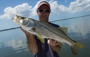 snook fishing charter tampa bay