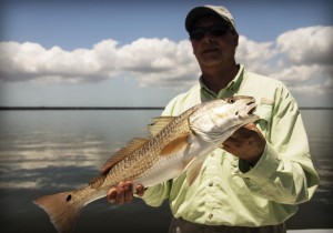 tampa fishing charter guide