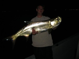 night tarpon fishing charter tampa