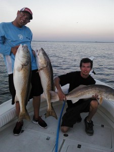 tampa bay fishing charter