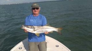 clearwater fishing charters